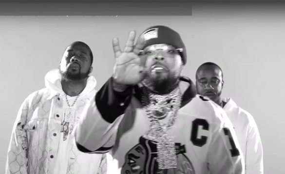 Griselda Dr. Birds Griselda Dr. Birds