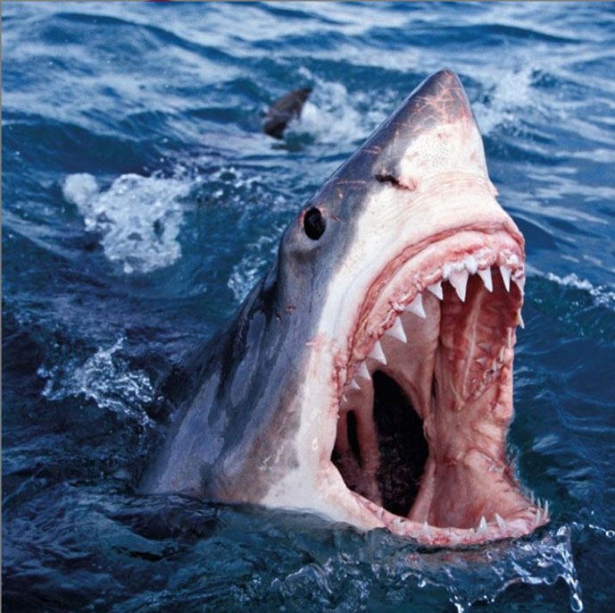 The Alchemist & Conway The Machine Announce New EP